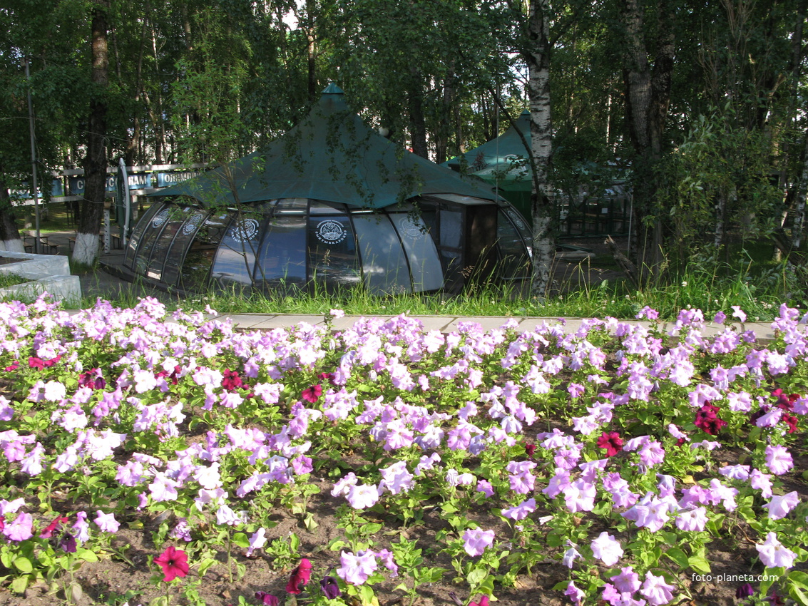 Сыктывкар 2014