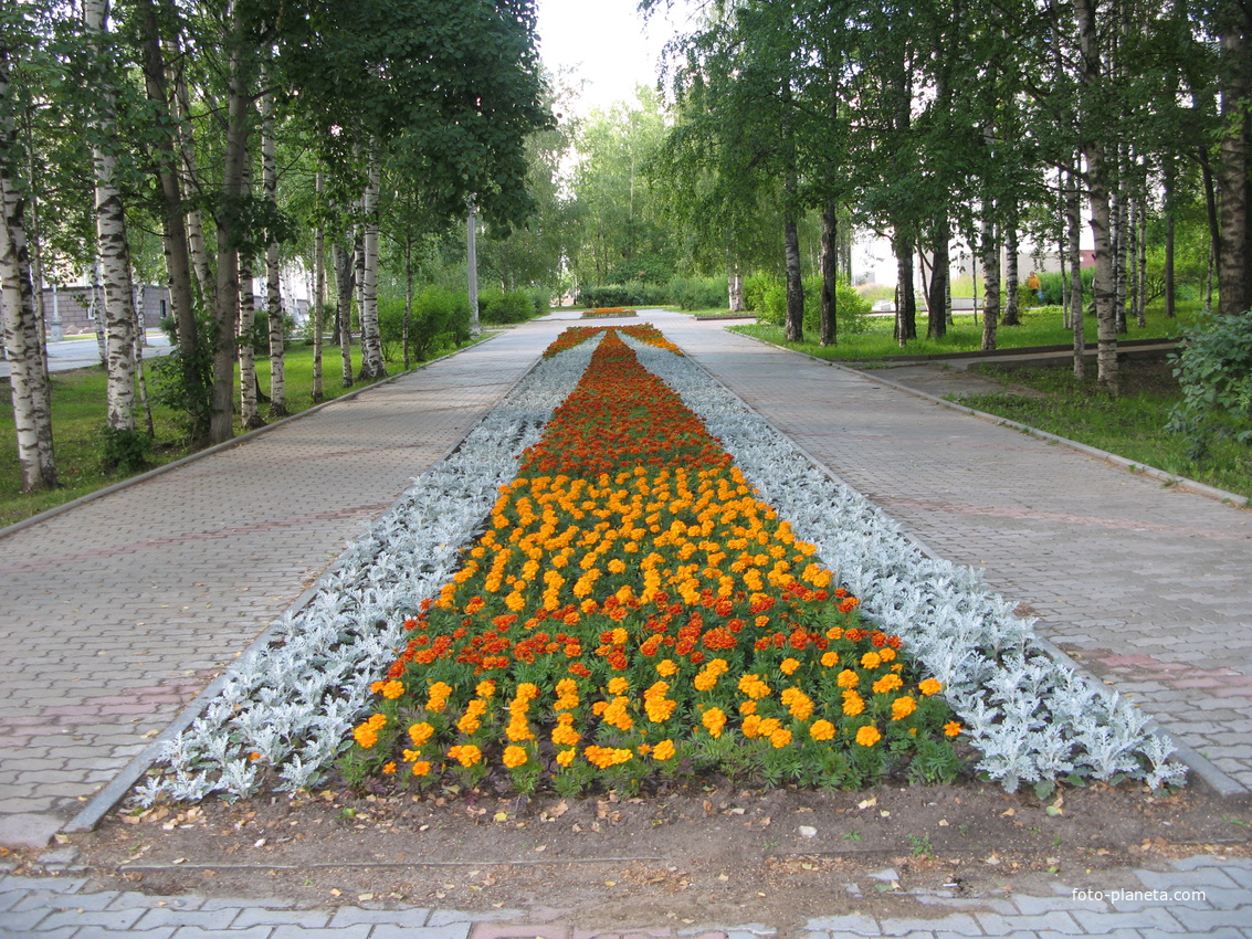 Сыктывкар 2014 - ул. Ленина