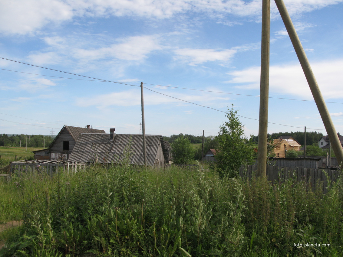 Выльгорт 2014