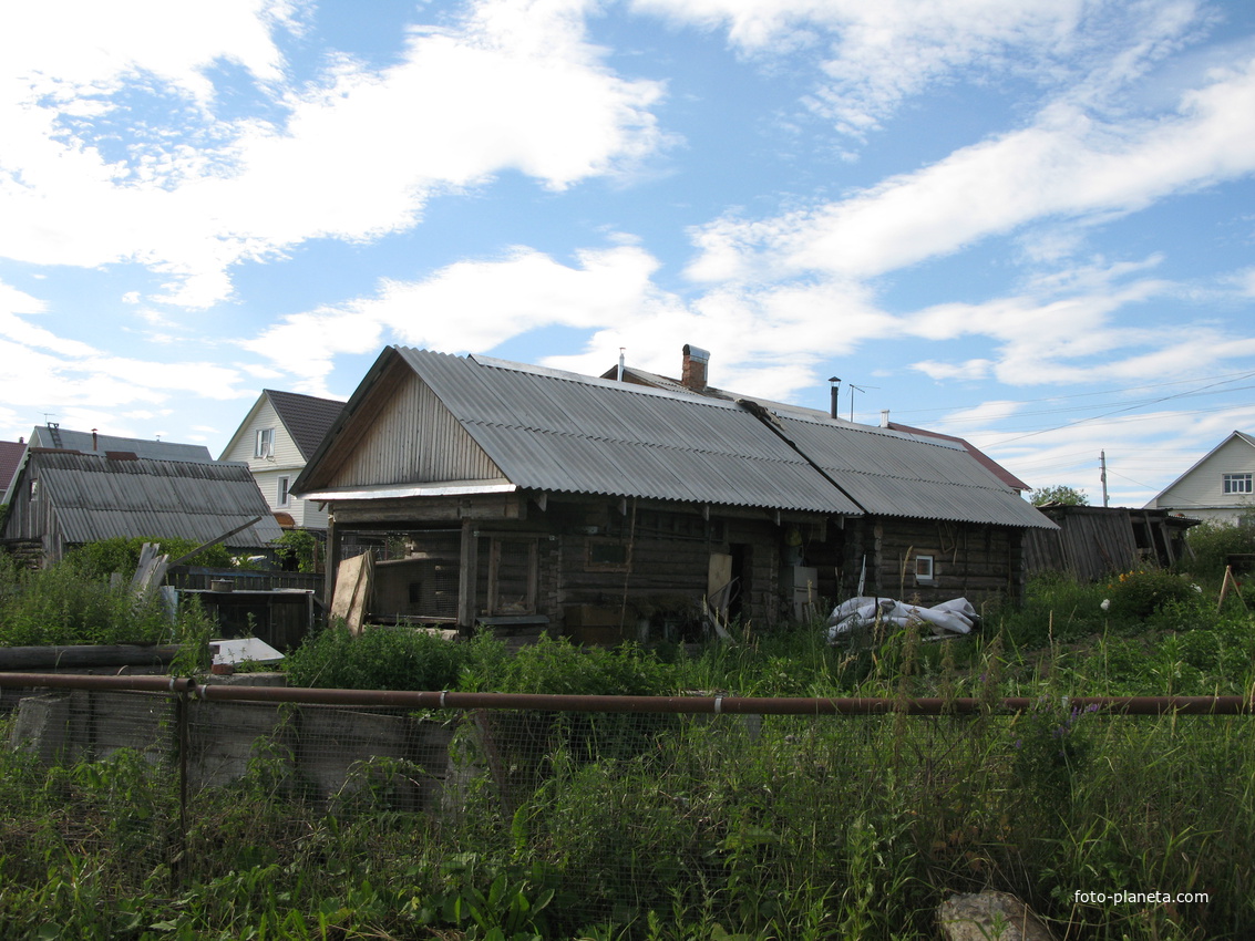 Выльгорт 2014