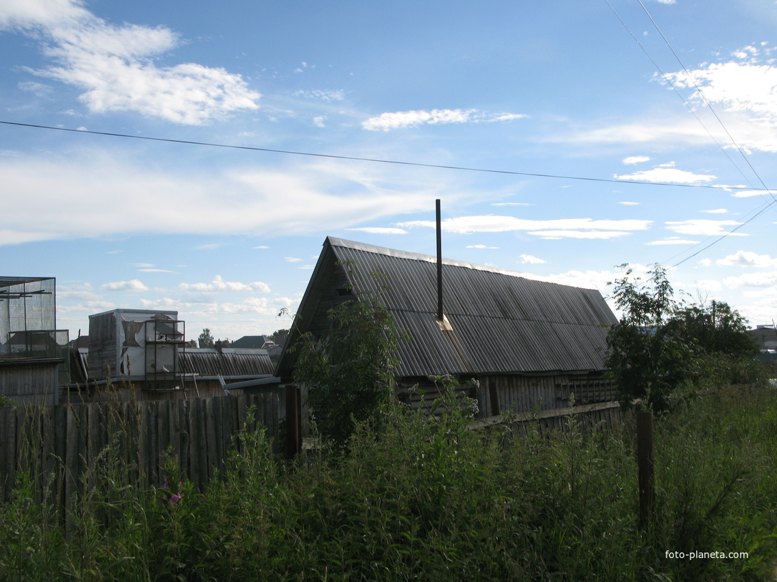 Выльгорт 2014