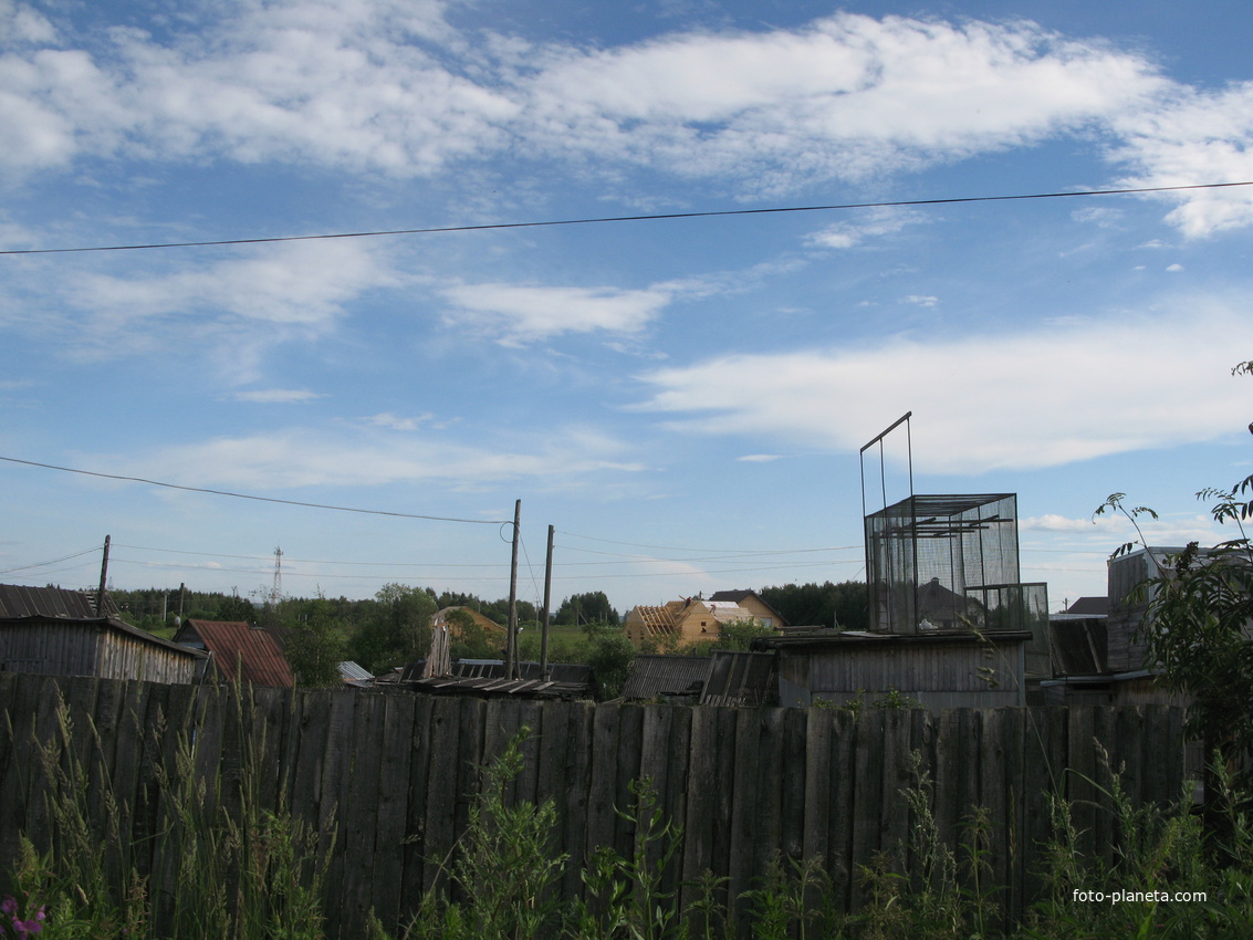 Выльгорт 2014