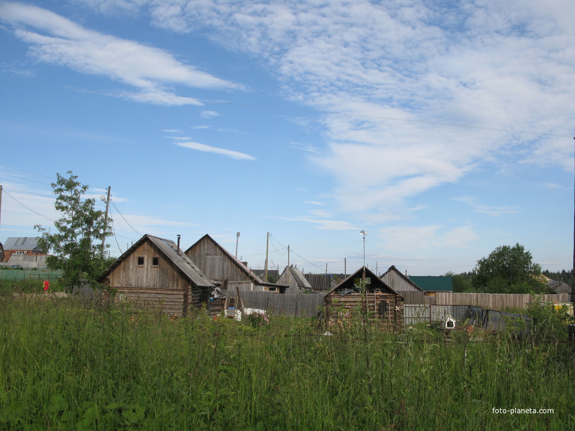 Выльгорт 2014