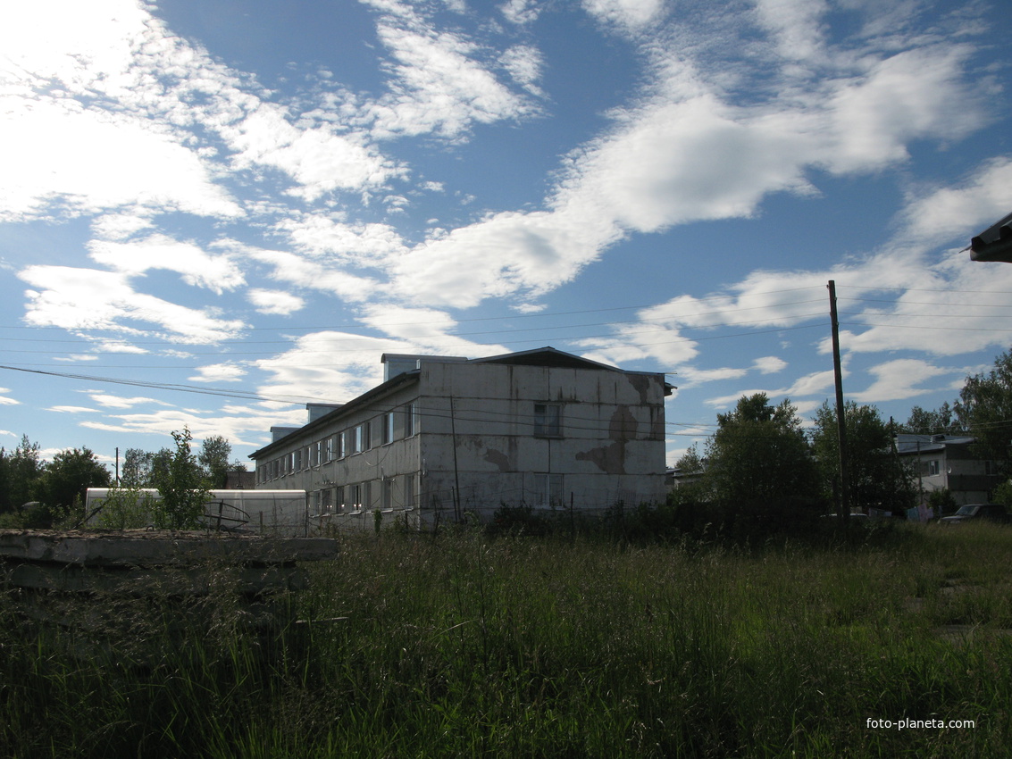 Выльгорт 2014