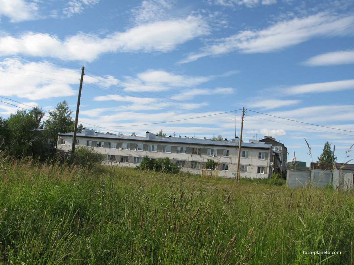 Выльгорт 2014