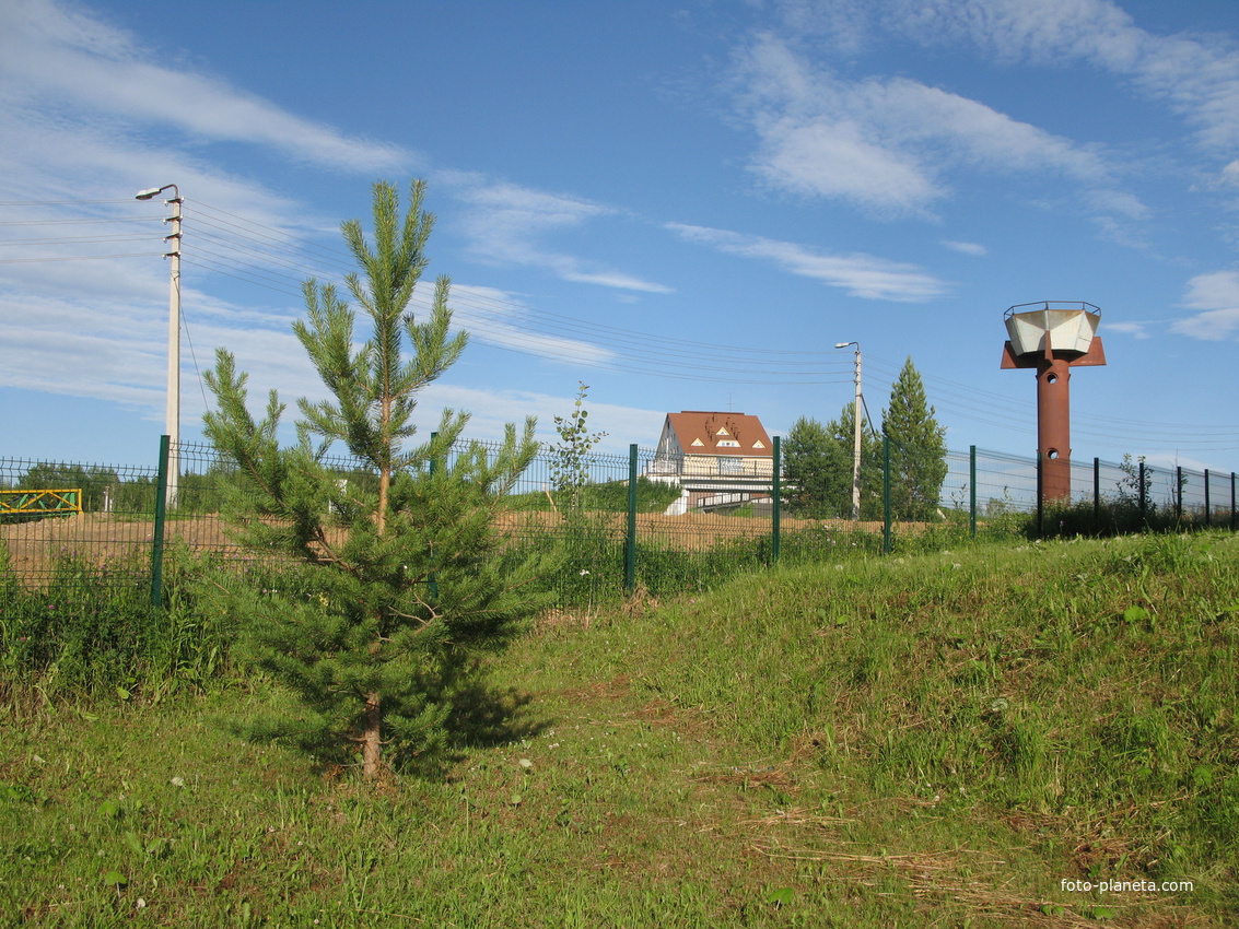 Выльгорт 2014