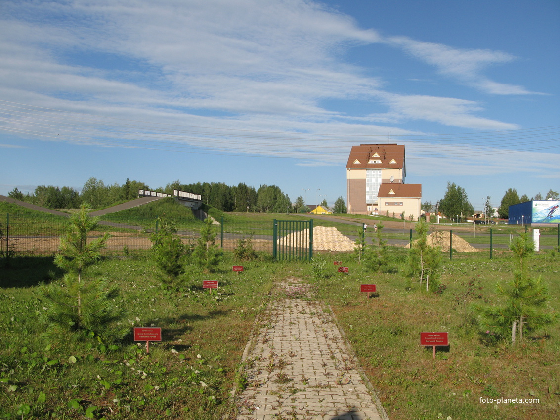 Выльгорт 2014