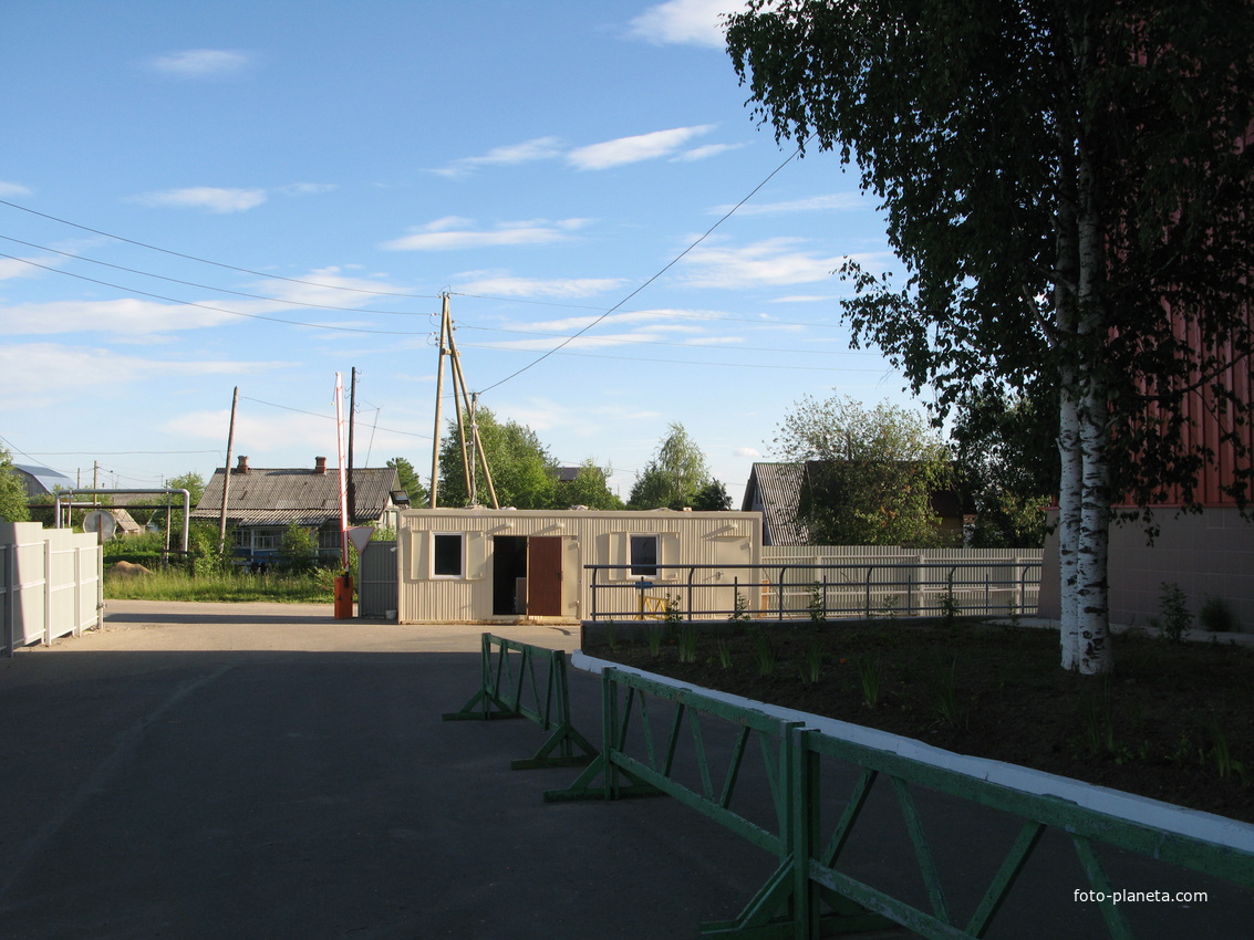 Выльгорт 2014