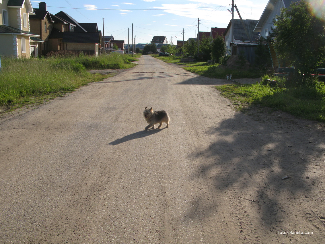 Выльгорт 2014  - ул. Юбилейная