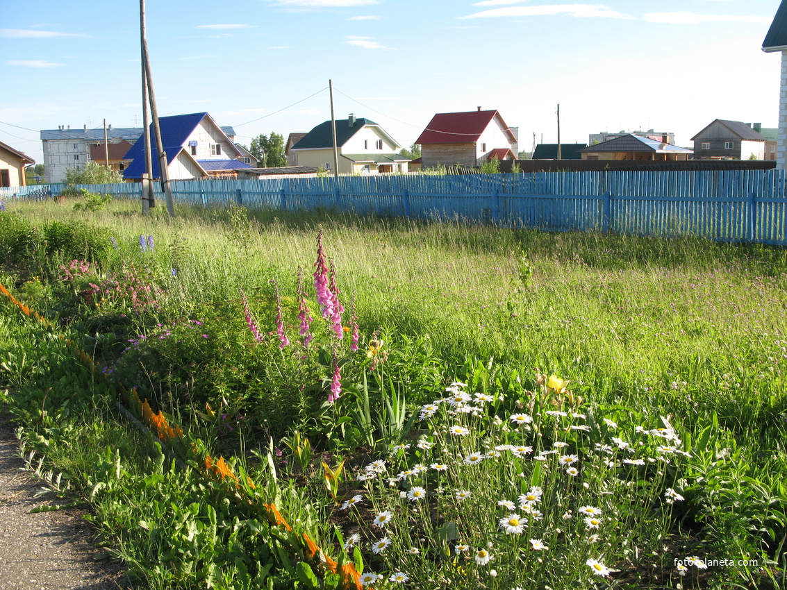 Выльгорт 2014  - ул. Юбилейная