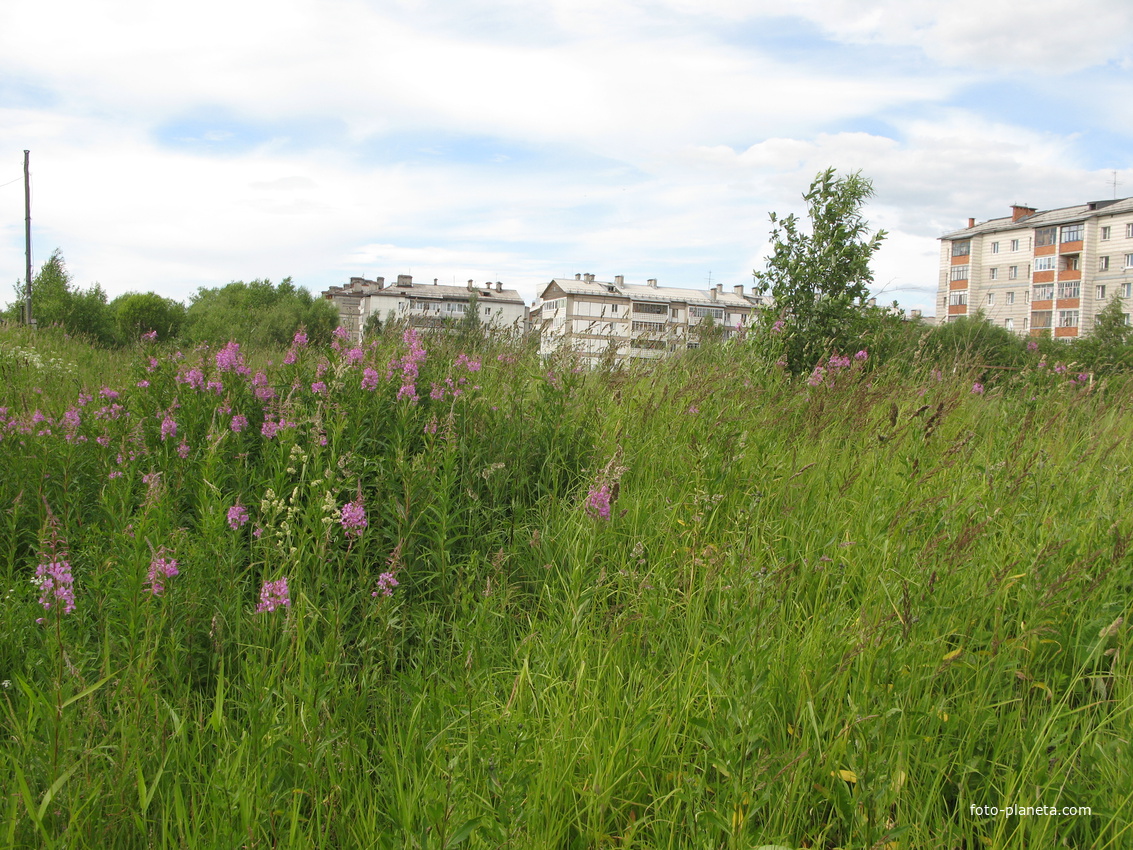 Сыктывкар 2014 - ул. Морозова