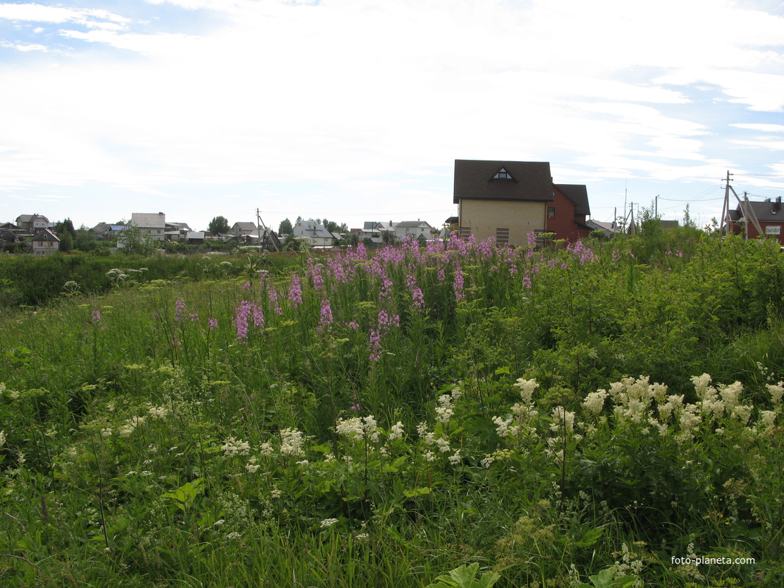 Сыктывкар 2014 - ул. Лесопарковая