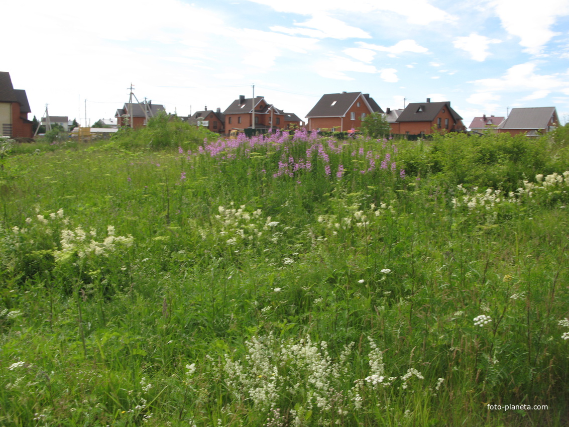 Сыктывкар 2014 - ул. Лесопарковая