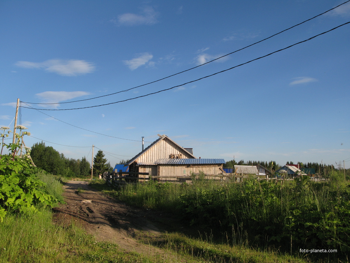 Выльгорт 2014