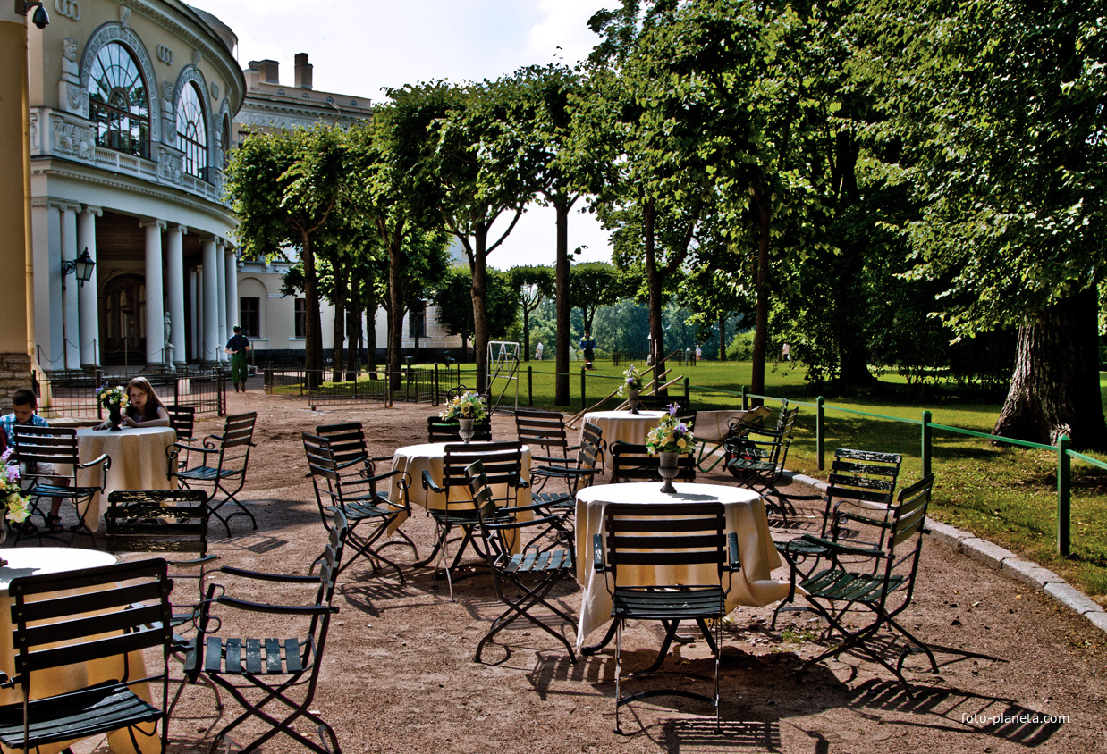 В Павловском парке