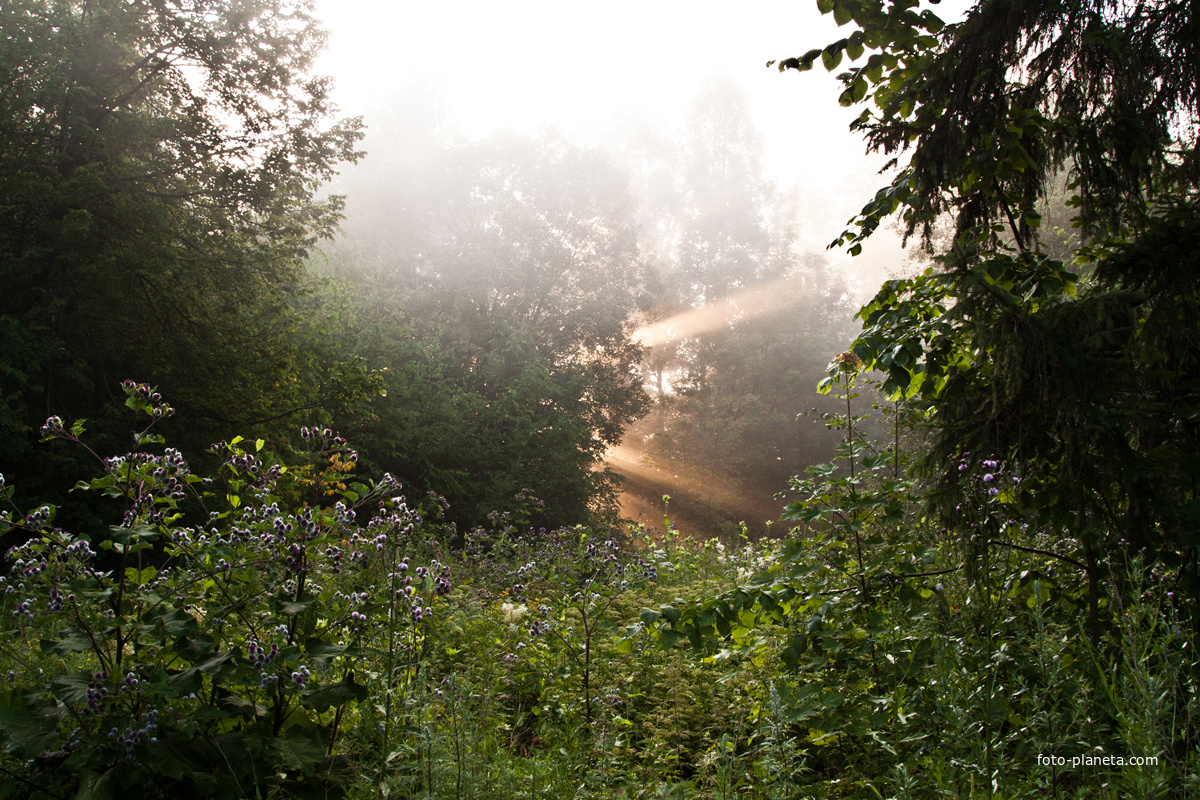 Фермский парк на рассвете