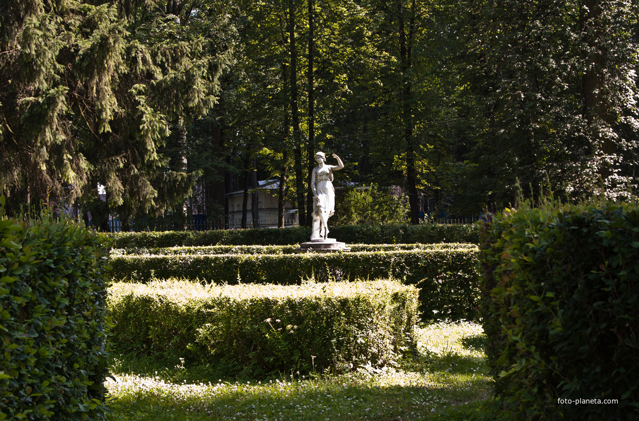 В Павловском парке