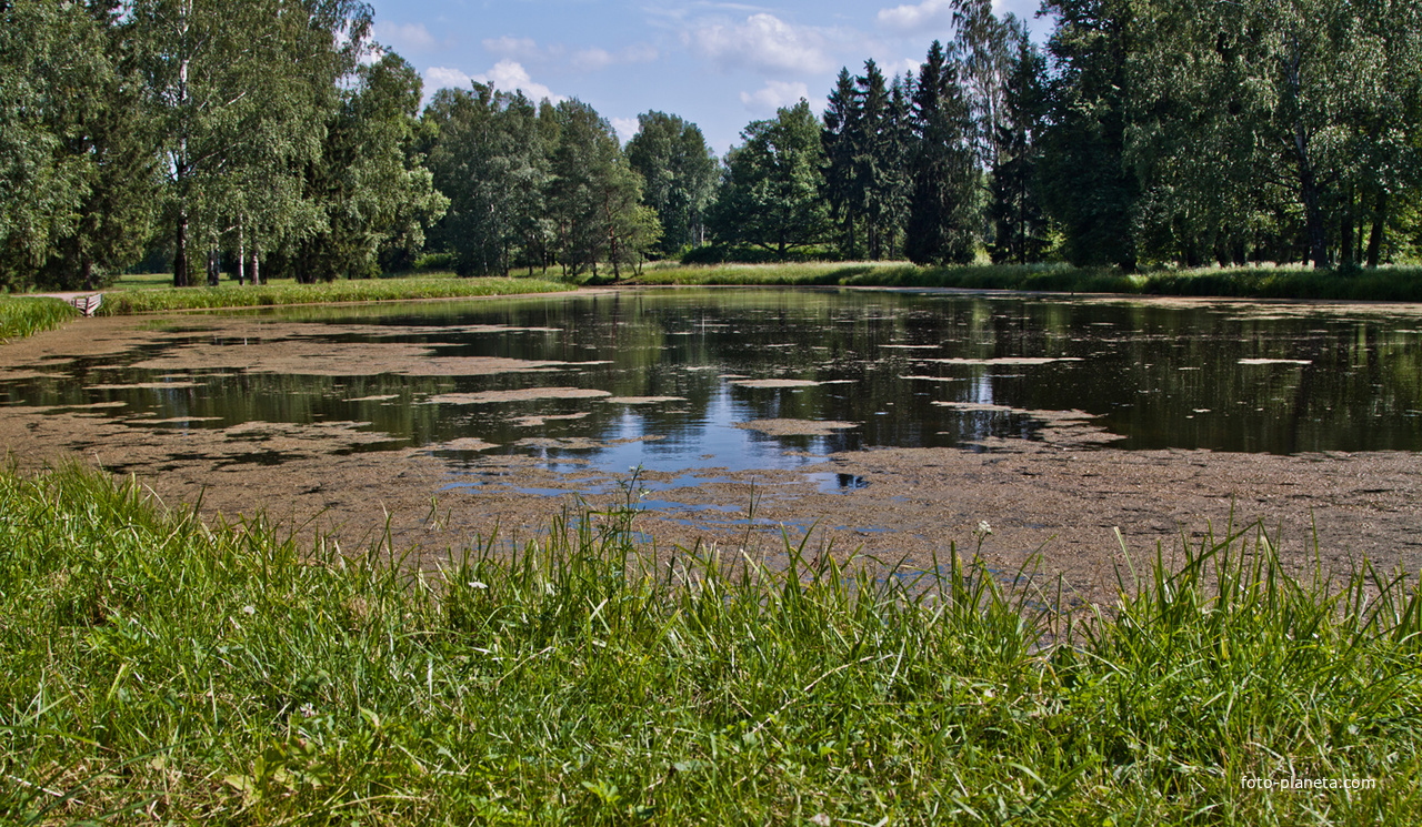Средний Розовопавильонный пруд