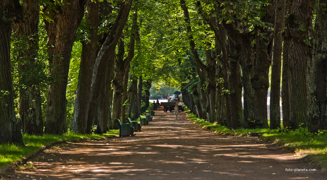 Липовая аллея