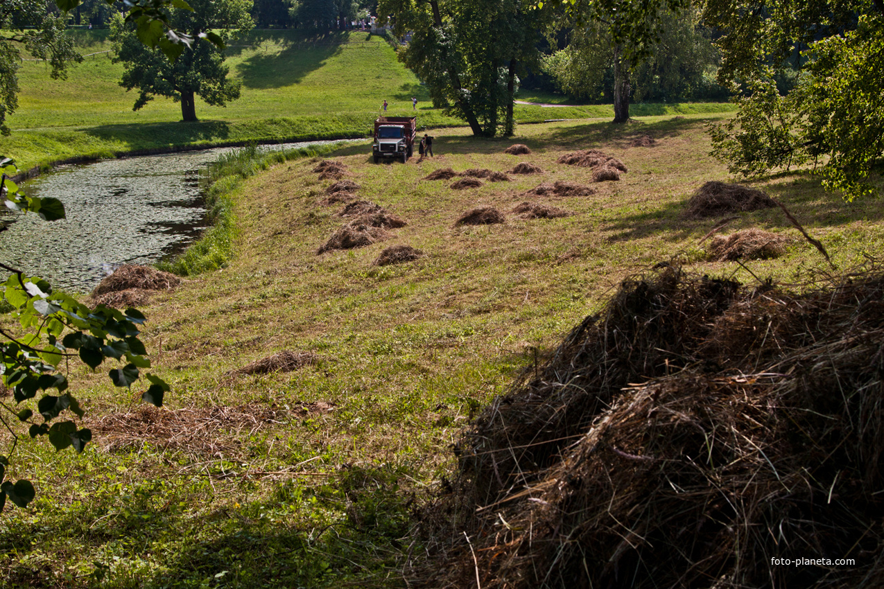 Павловский парк