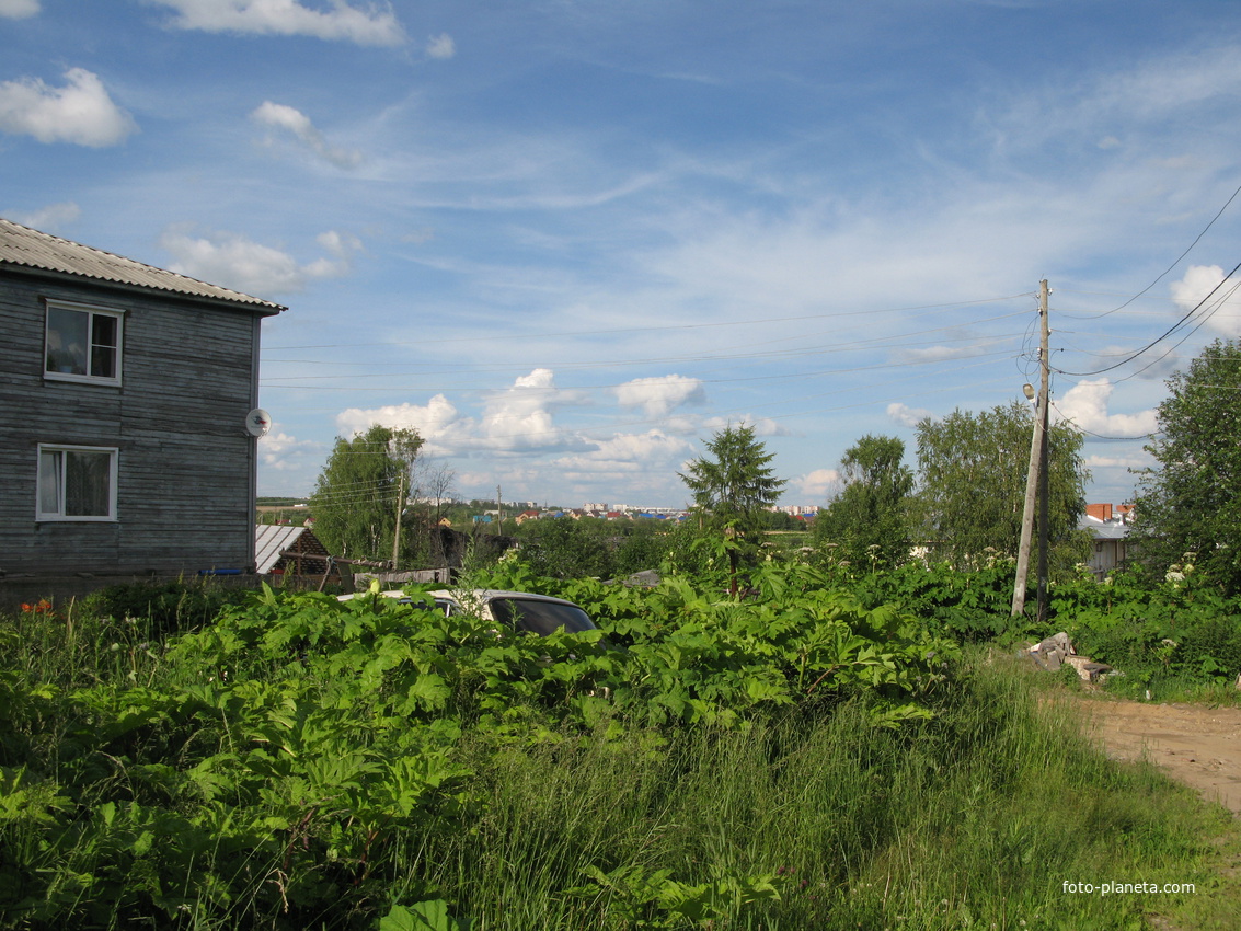 Выльгорт 2014 - ул. Рабочая