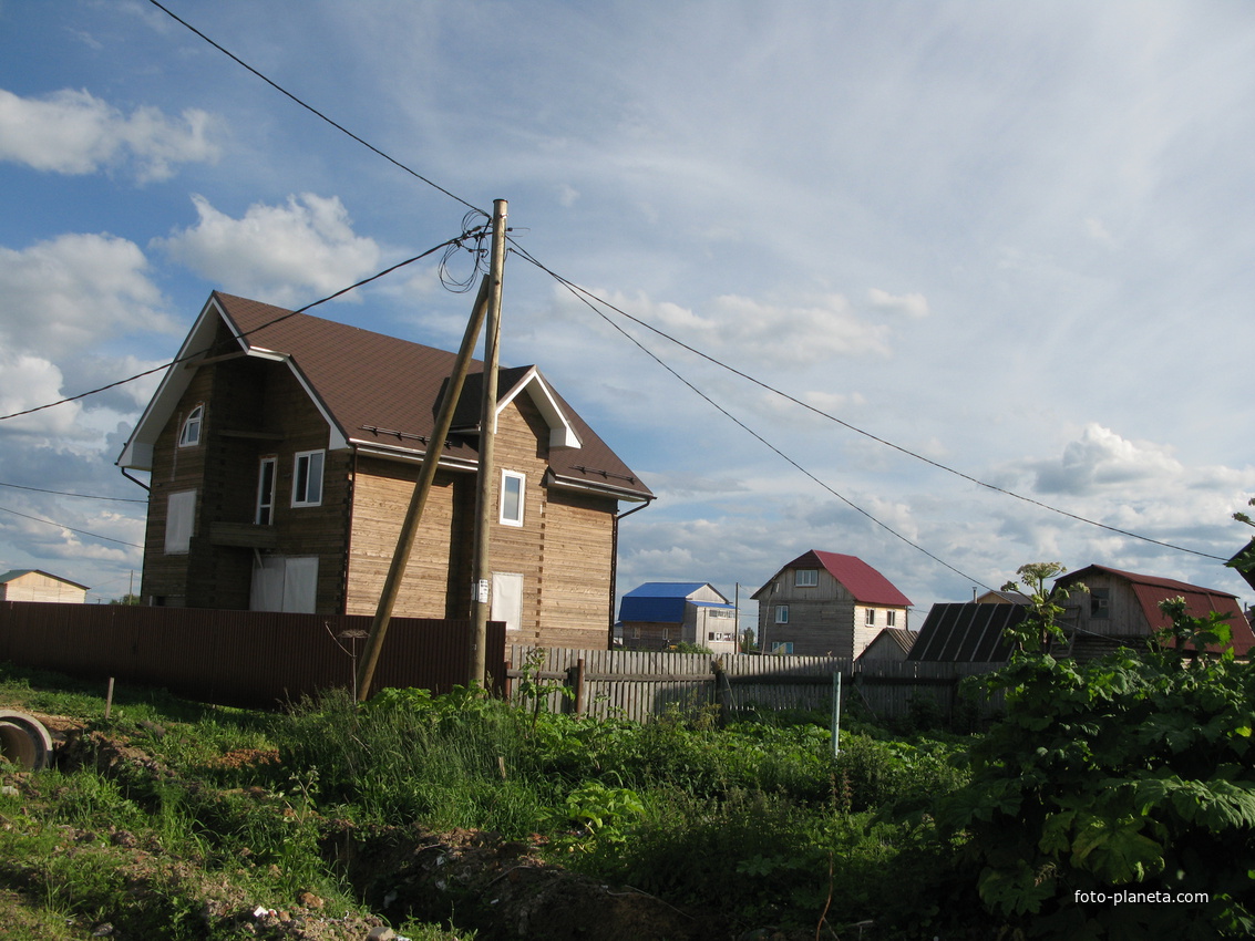 Выльгорт 2014