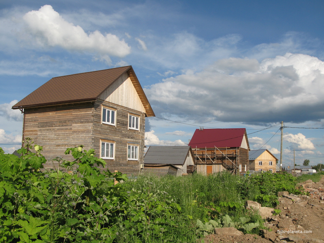 Выльгорт 2014