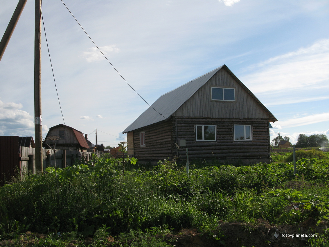 Выльгорт 2014