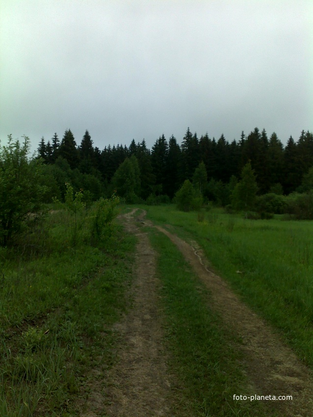 дорога в Катынский лес
