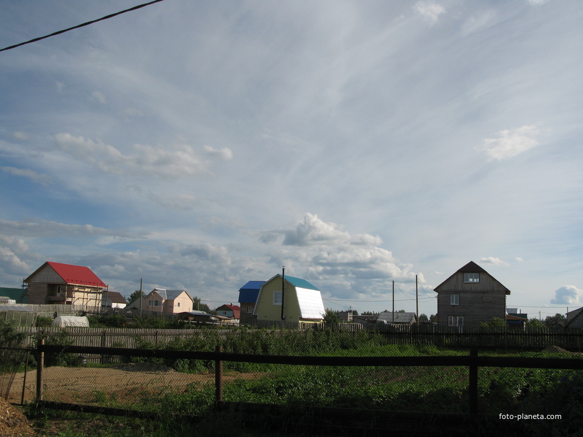 Выльгорт 2014