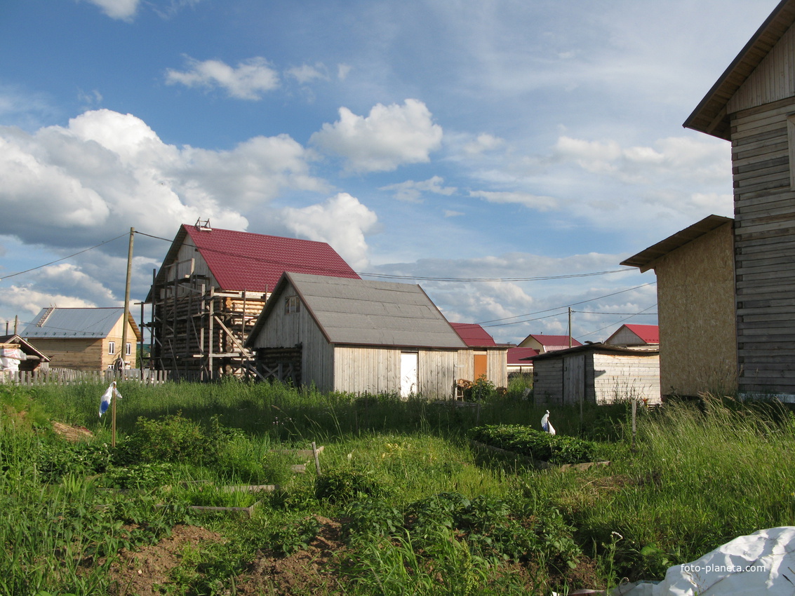 Выльгорт 2014