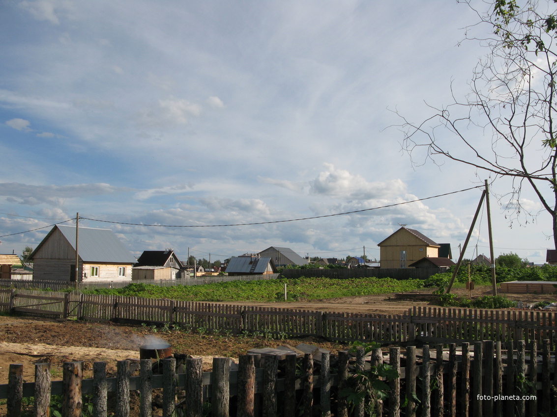 Выльгорт 2014