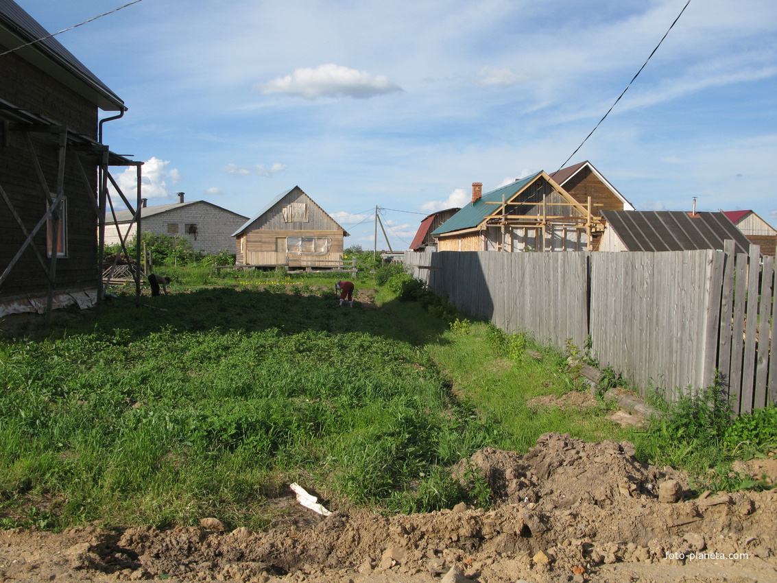 Выльгорт 2014