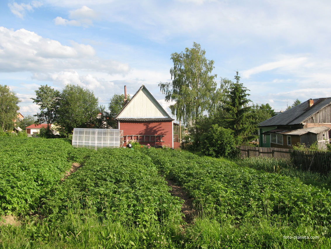 Выльгорт 2014