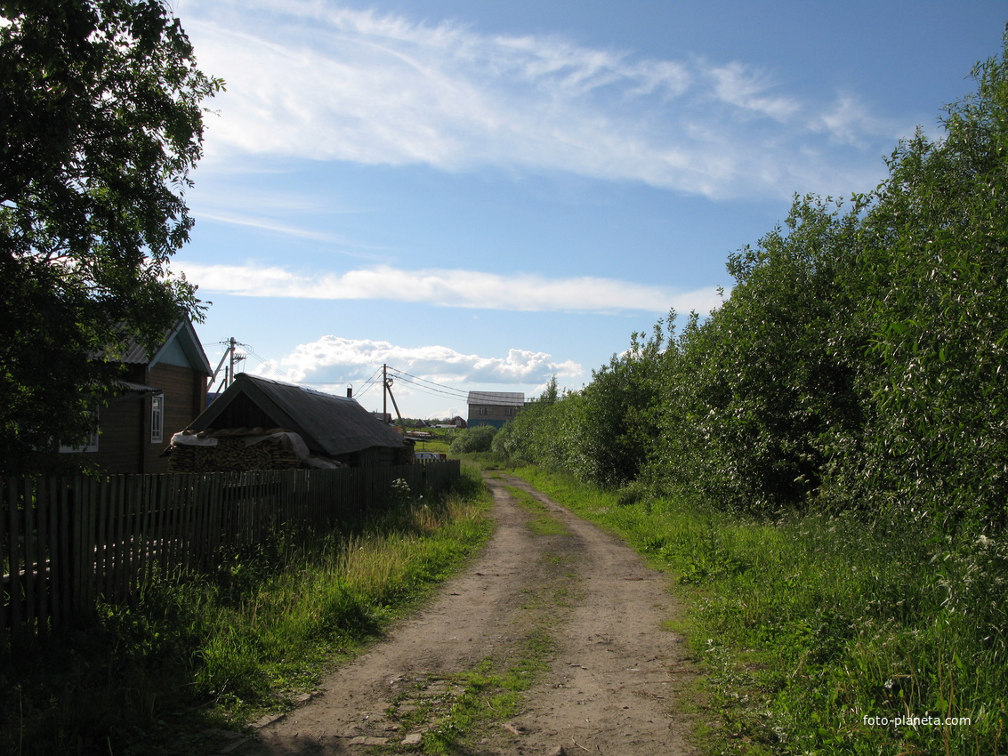 Выльгорт 2014