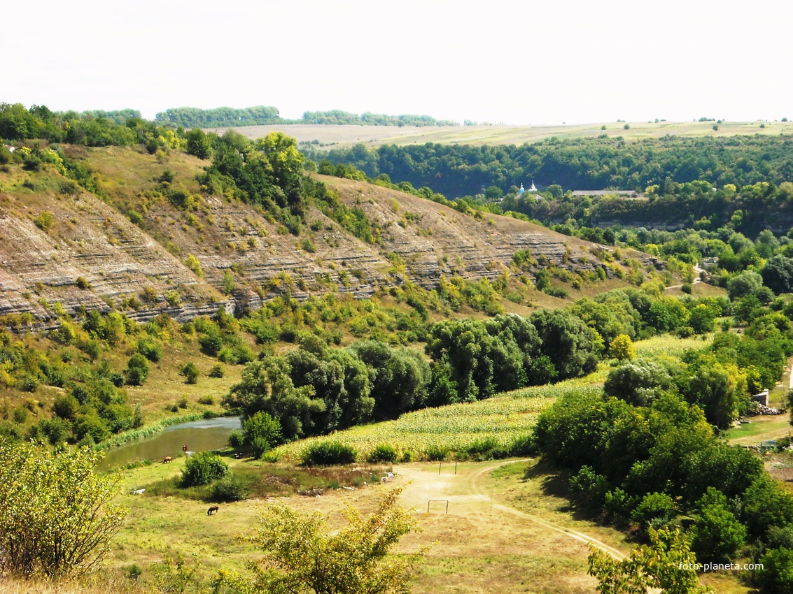 село Верхние Пановцы, заринок