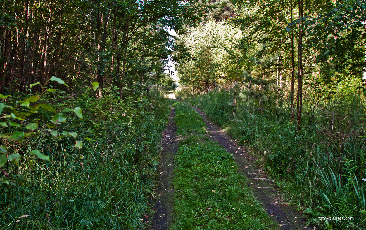 Форт Красная Горка