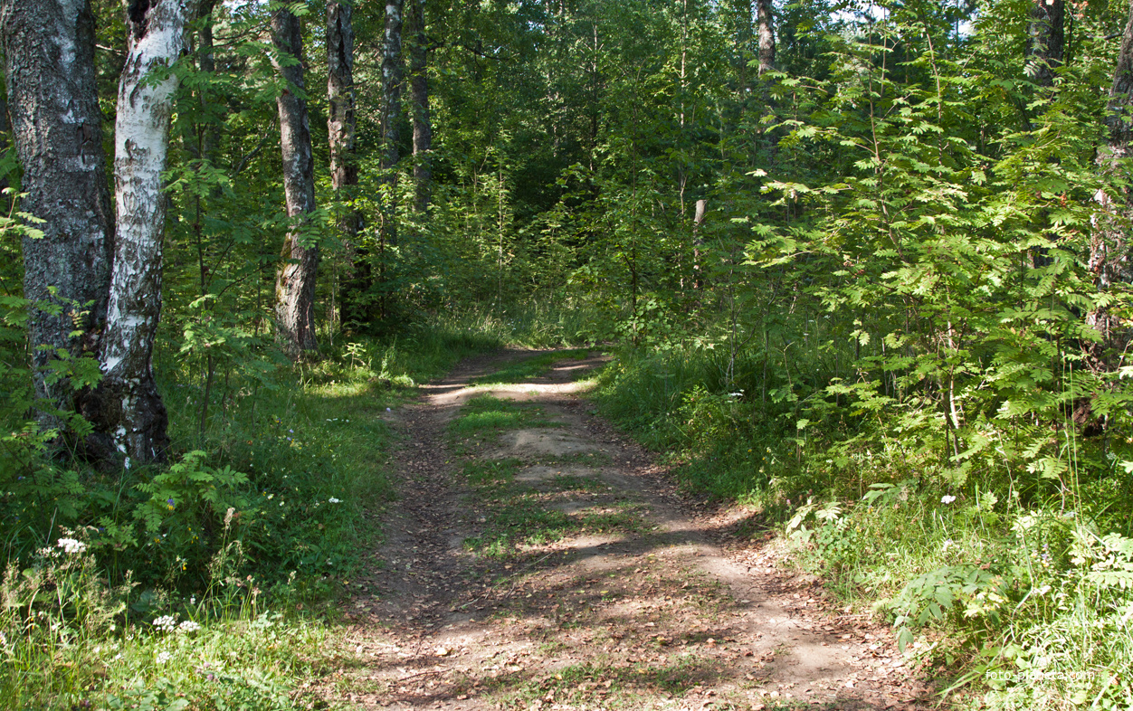 Природа Форта