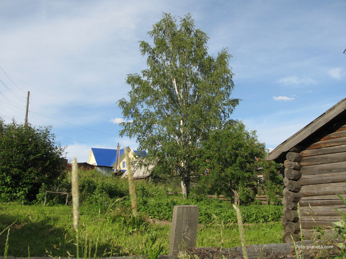 Выльгорт 2014 - ул. Ольги Мальцевой