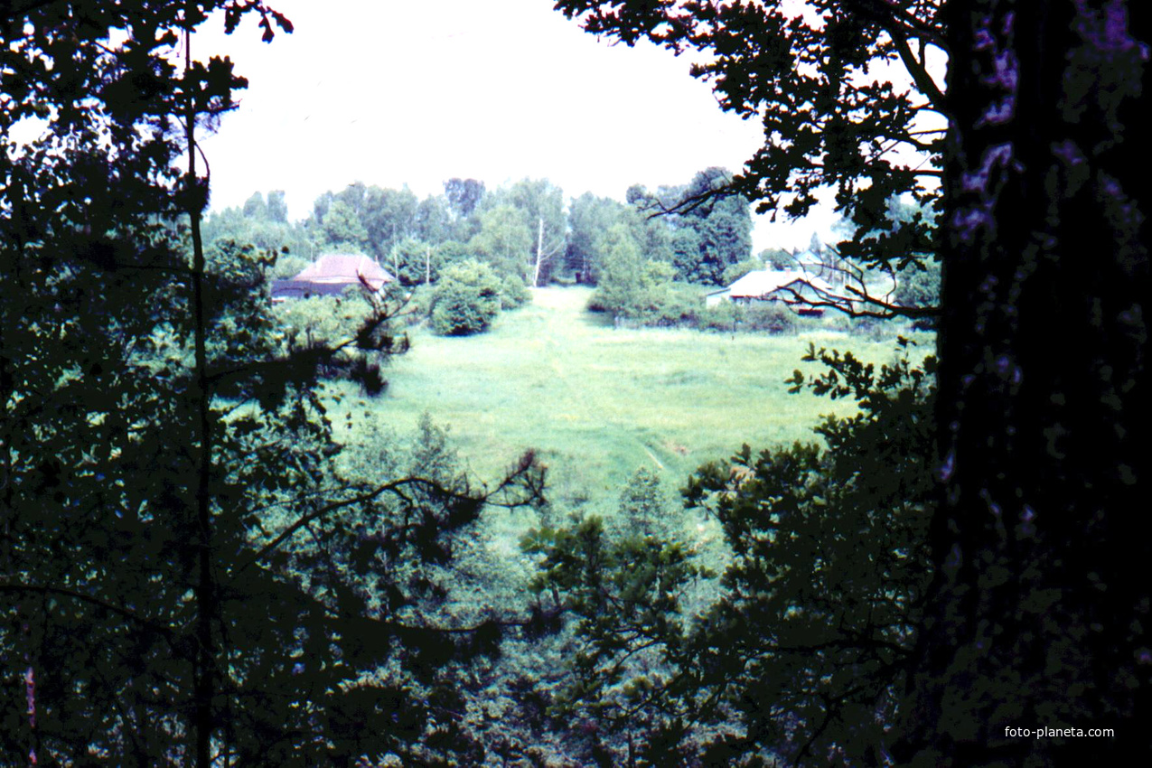 Вид на Солослово через речку Медвенку.