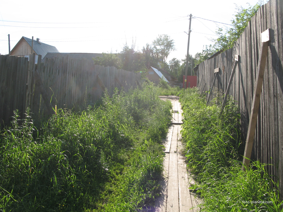 Выльгорт 2014 - c ул Домны Каликовой