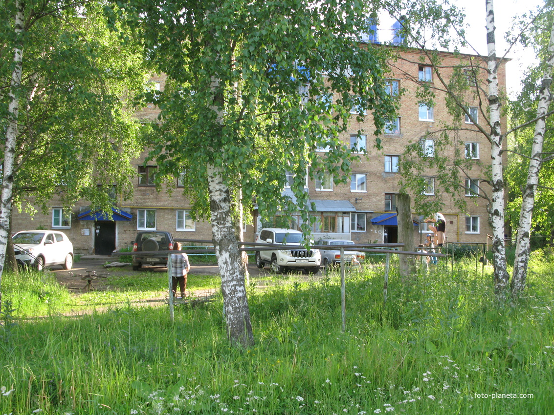 Выльгорт 2014