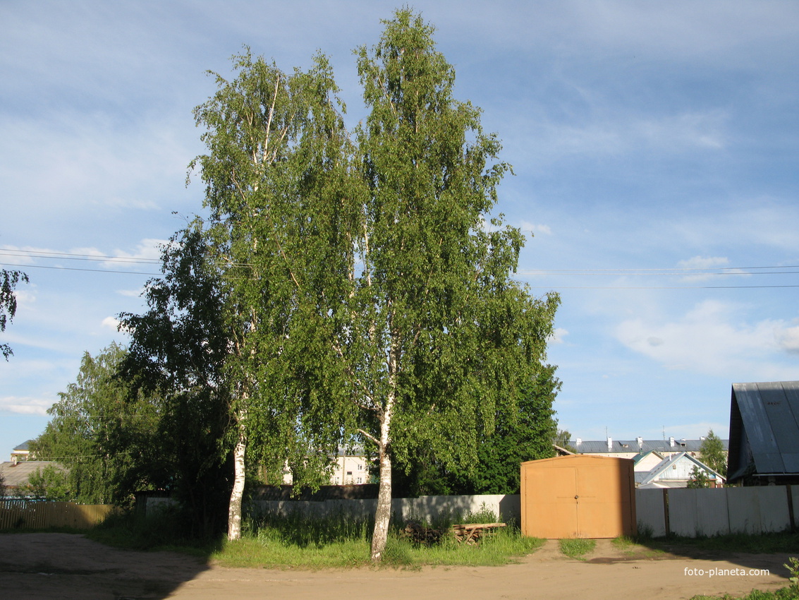 Выльгорт 2014