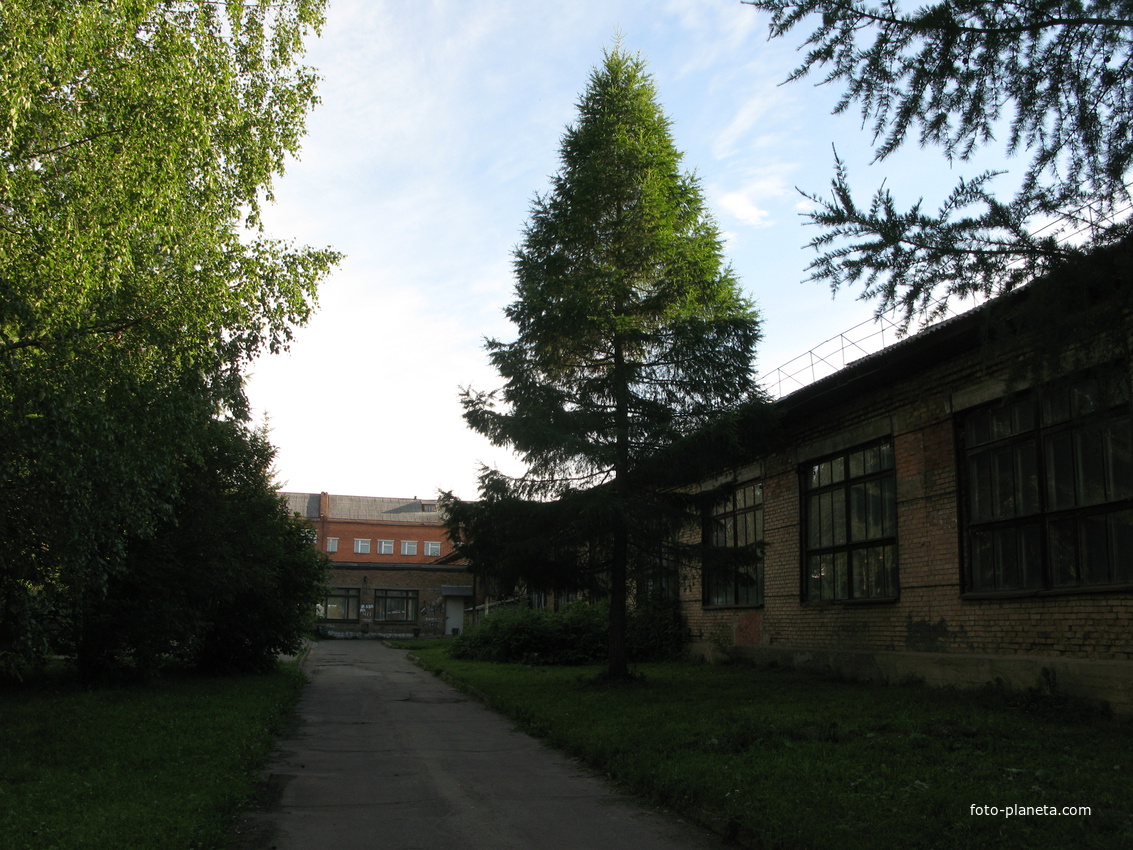 Выльгорт 2014