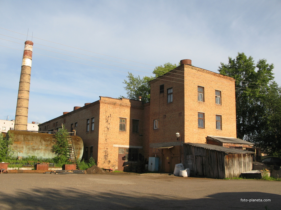 Выльгорт 2014 -