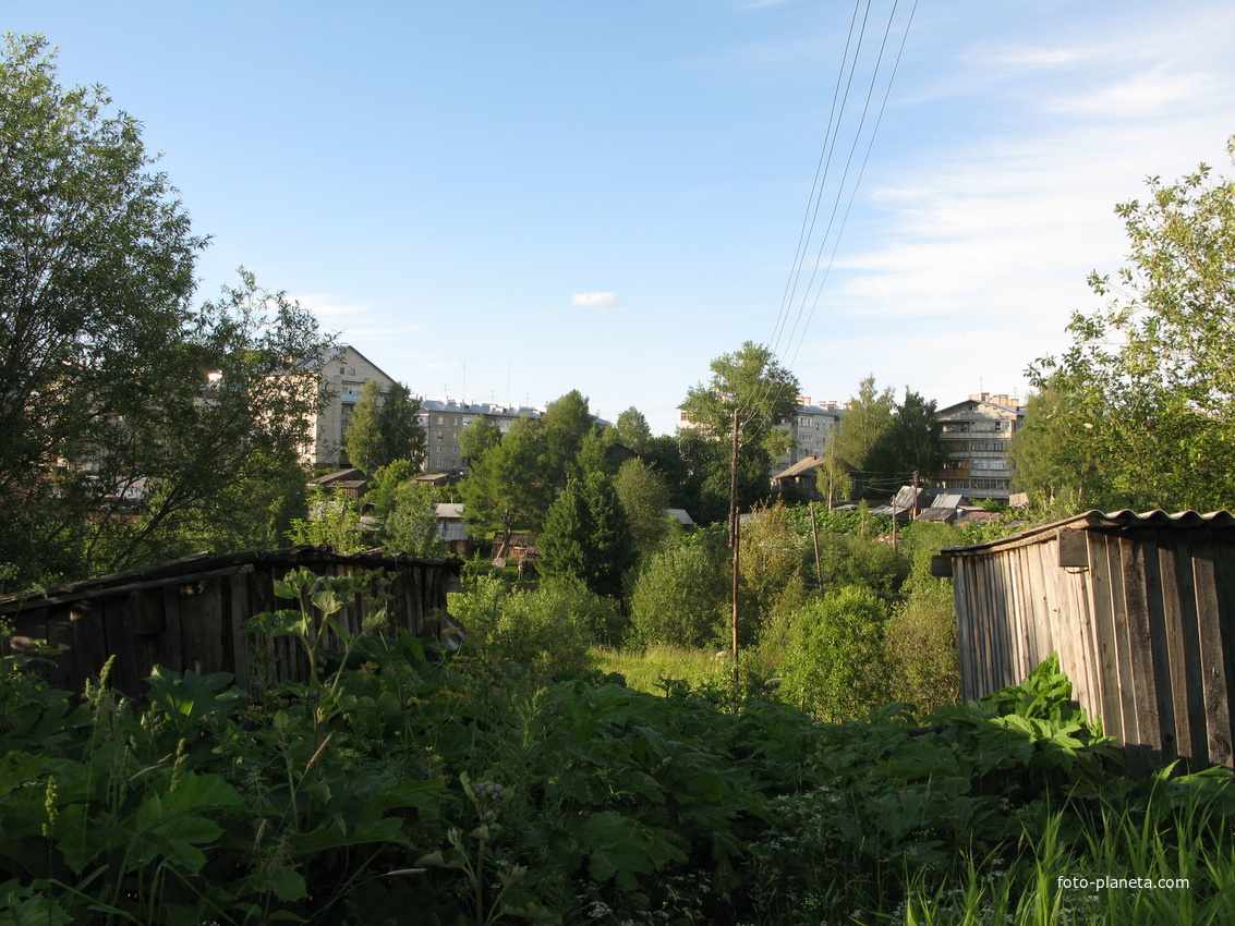 Выльгорт 2014