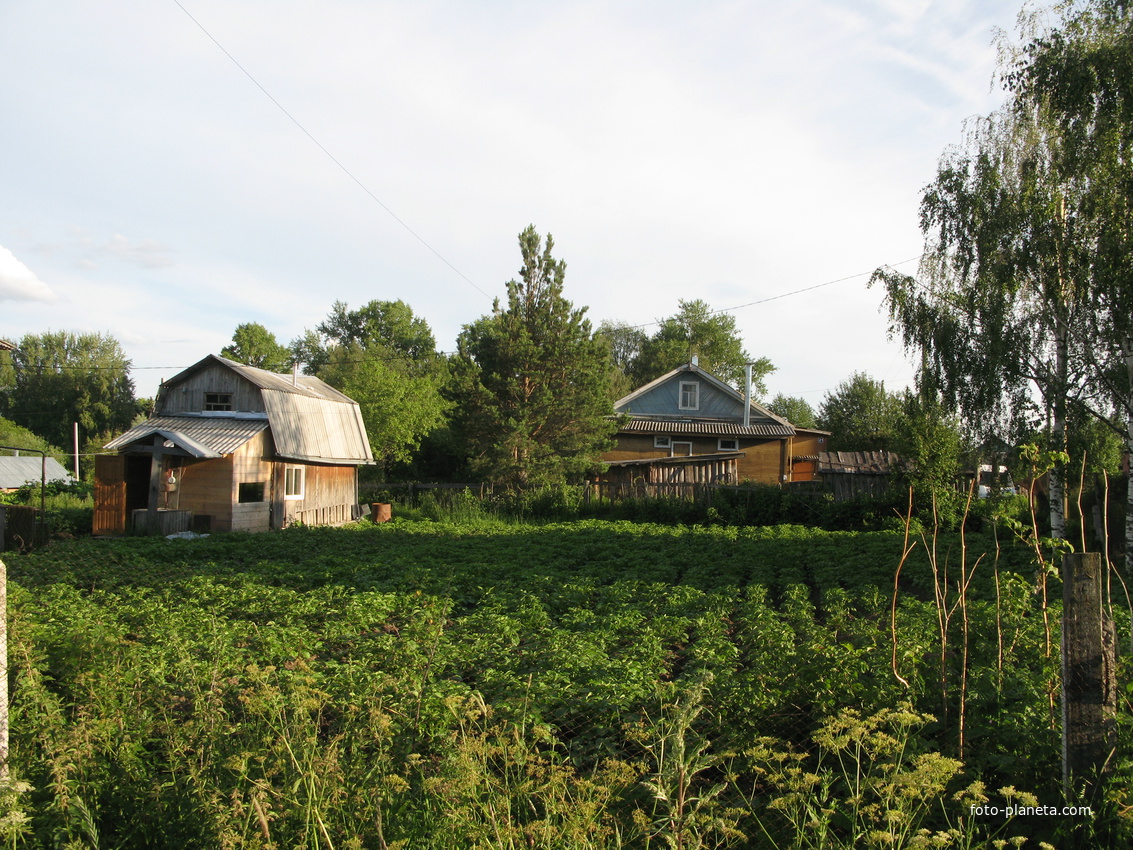 Выльгорт 2014 - ул. Тимирязева