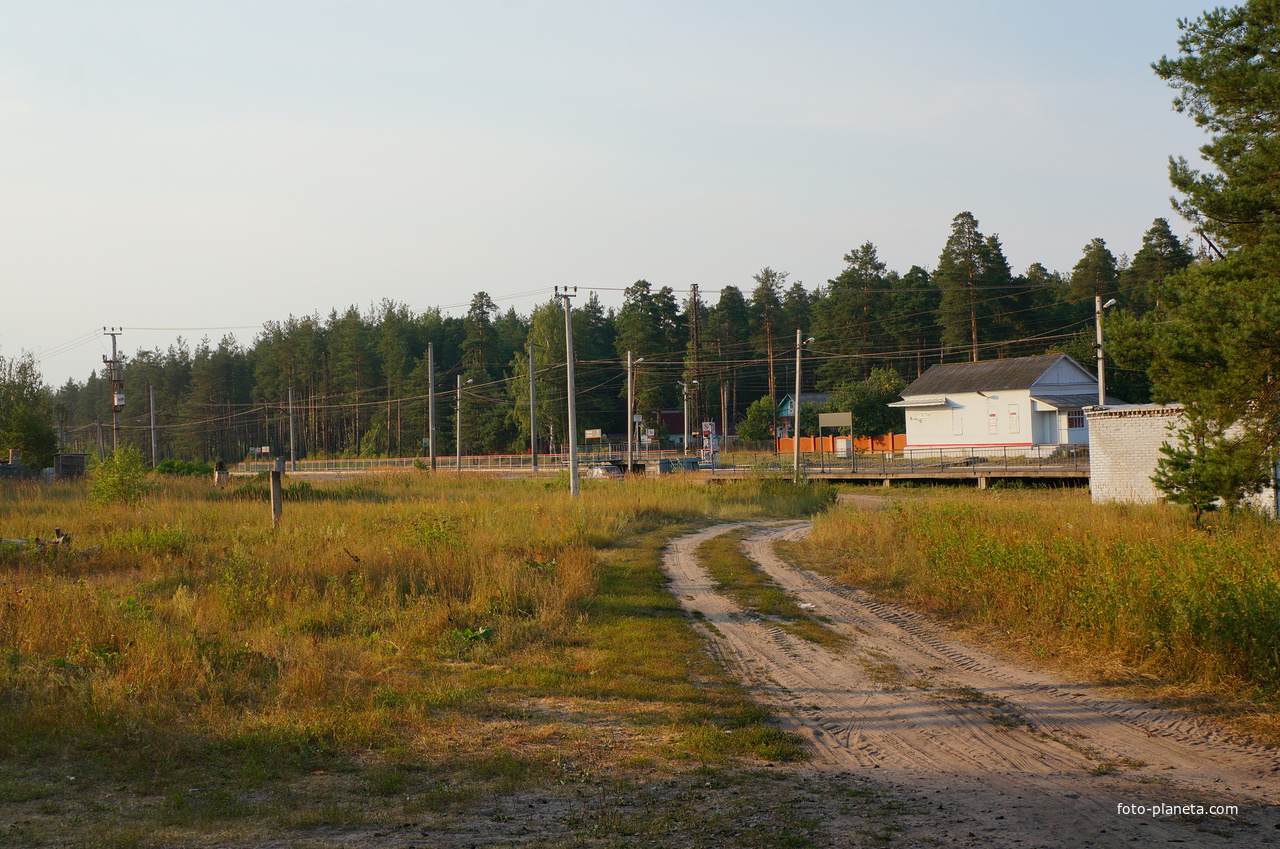 Станция Черная | Луховицы городской округ | Фотопланета