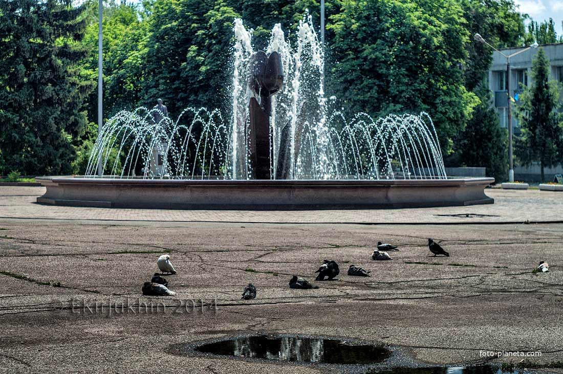 Сонные голуби у фонтана