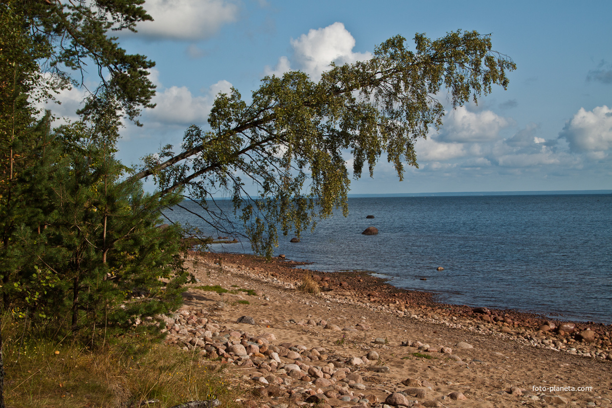 Финский залив